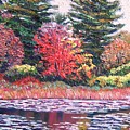 Autumn Woodland Reflections