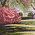 Park Spring Blossom with Shadows