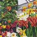 Smith College Spring Bulb Show
